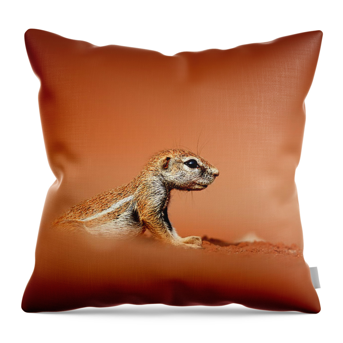 Squirrel Throw Pillow featuring the photograph Ground squirrel on red desert sand by Johan Swanepoel