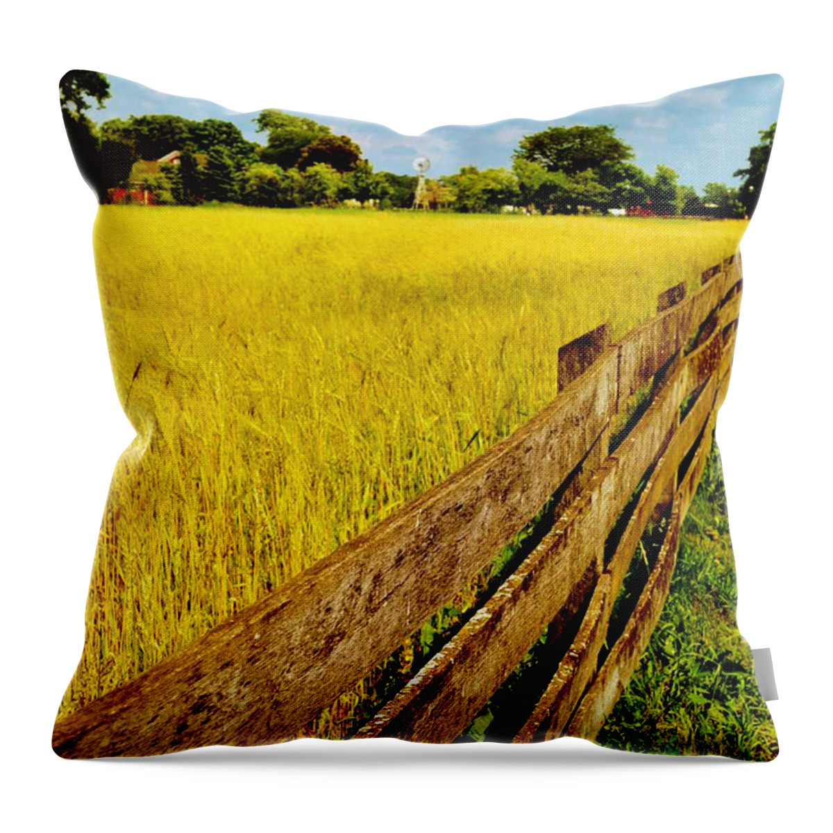  Throw Pillow featuring the photograph Growing History by Daniel Thompson