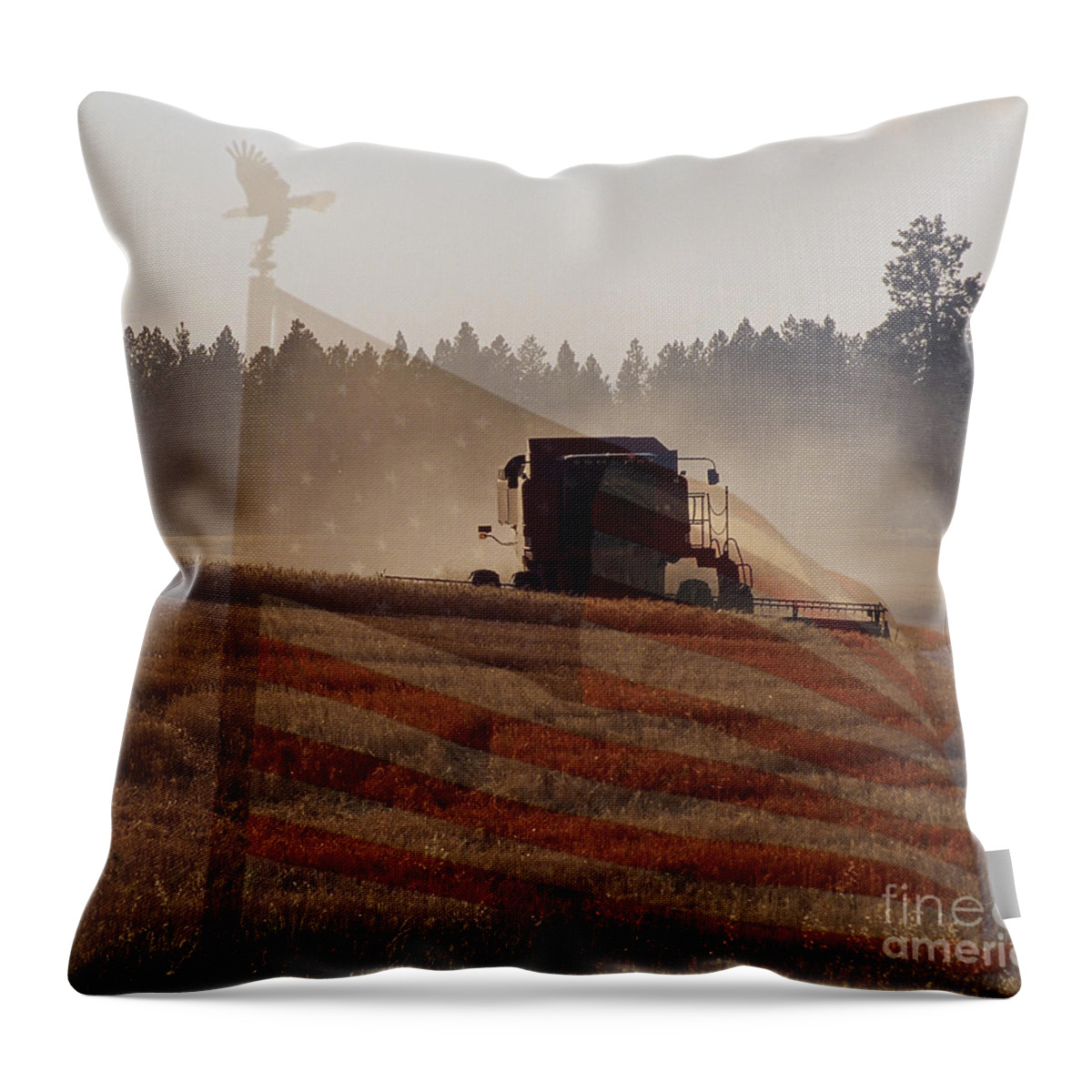 Wheat Throw Pillow featuring the photograph Grown in America by Sharon Elliott