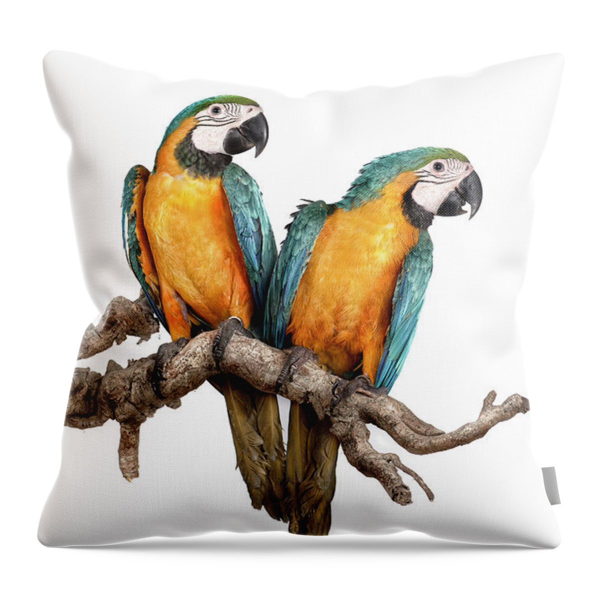 Macaw Throw Pillow featuring the photograph Guacamayos-11-120812 Copia by Silversaltphoto.j.senosiain