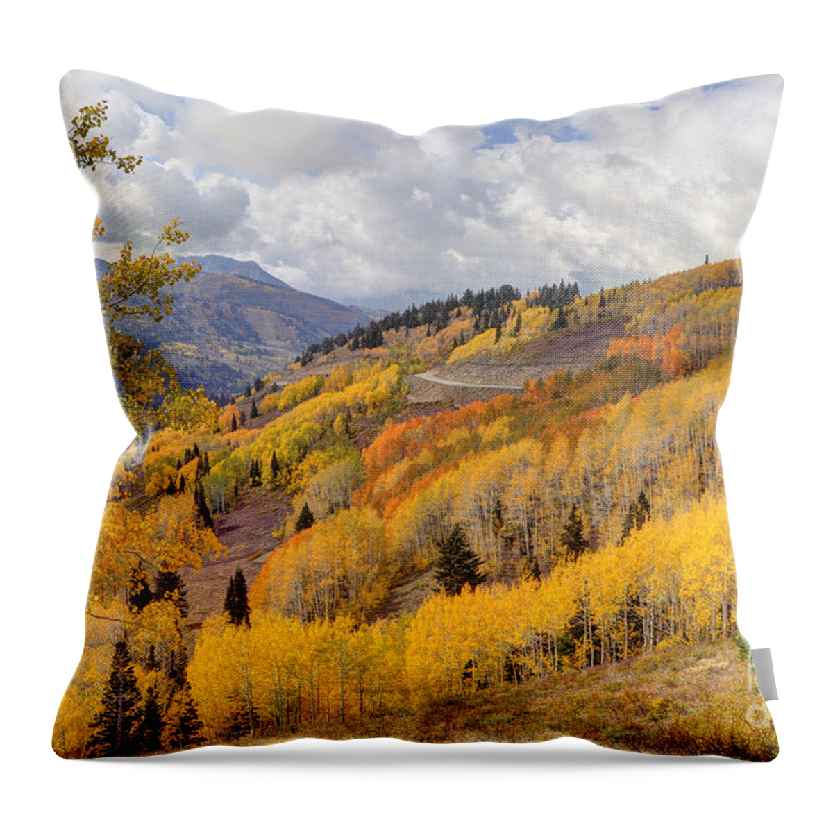Aspen Throw Pillow featuring the photograph Guardsman Pass Aspen - Big Cottonwood Canyon - Utah by Gary Whitton