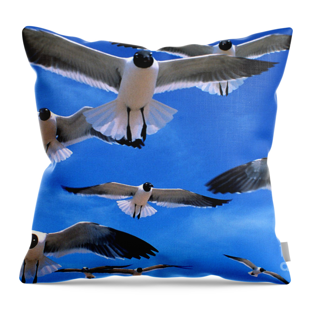 Gull Throw Pillow featuring the photograph Gulls in Flight by Geoge Ranalli