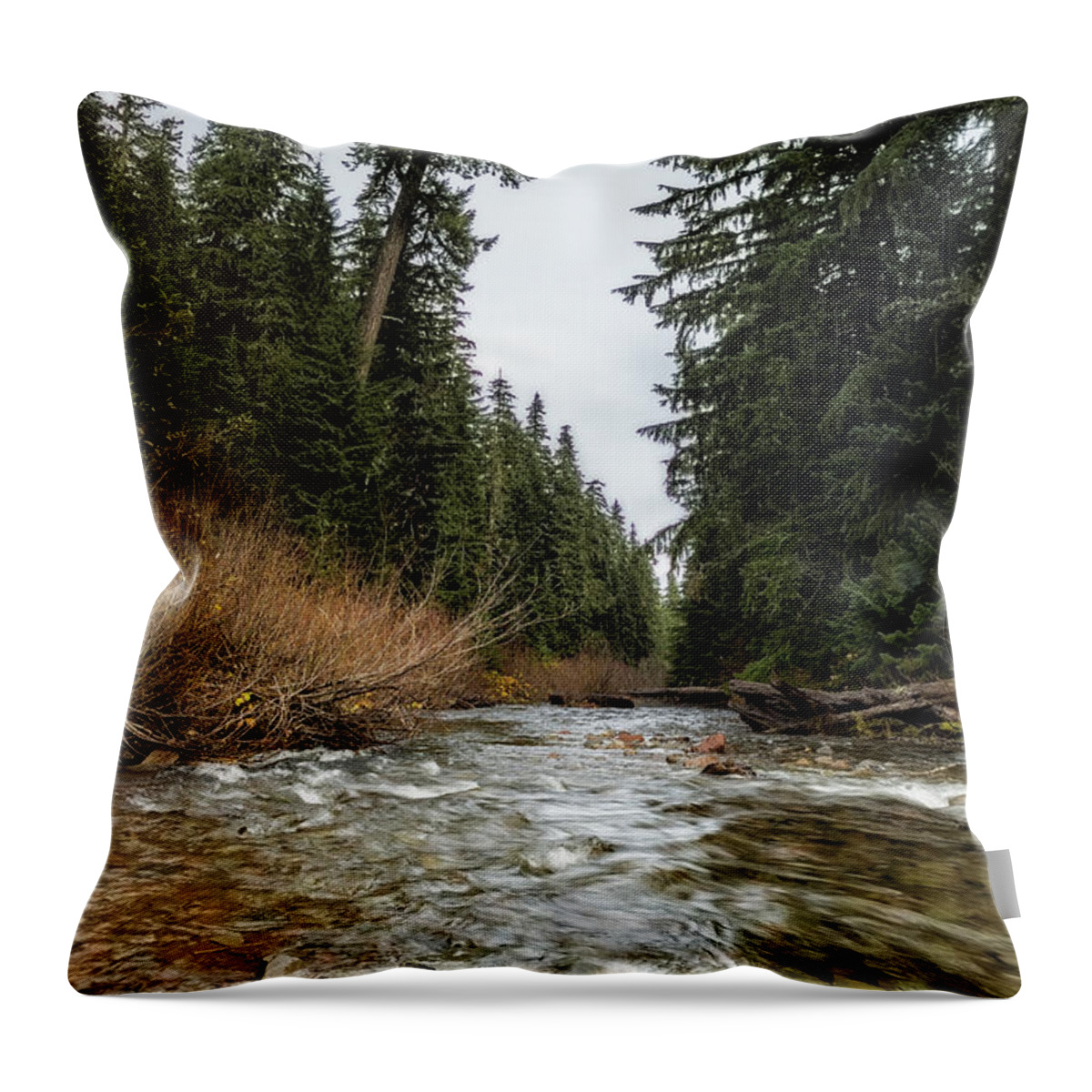 Hackleman Creek Throw Pillow featuring the photograph Hackleman Creek by Belinda Greb