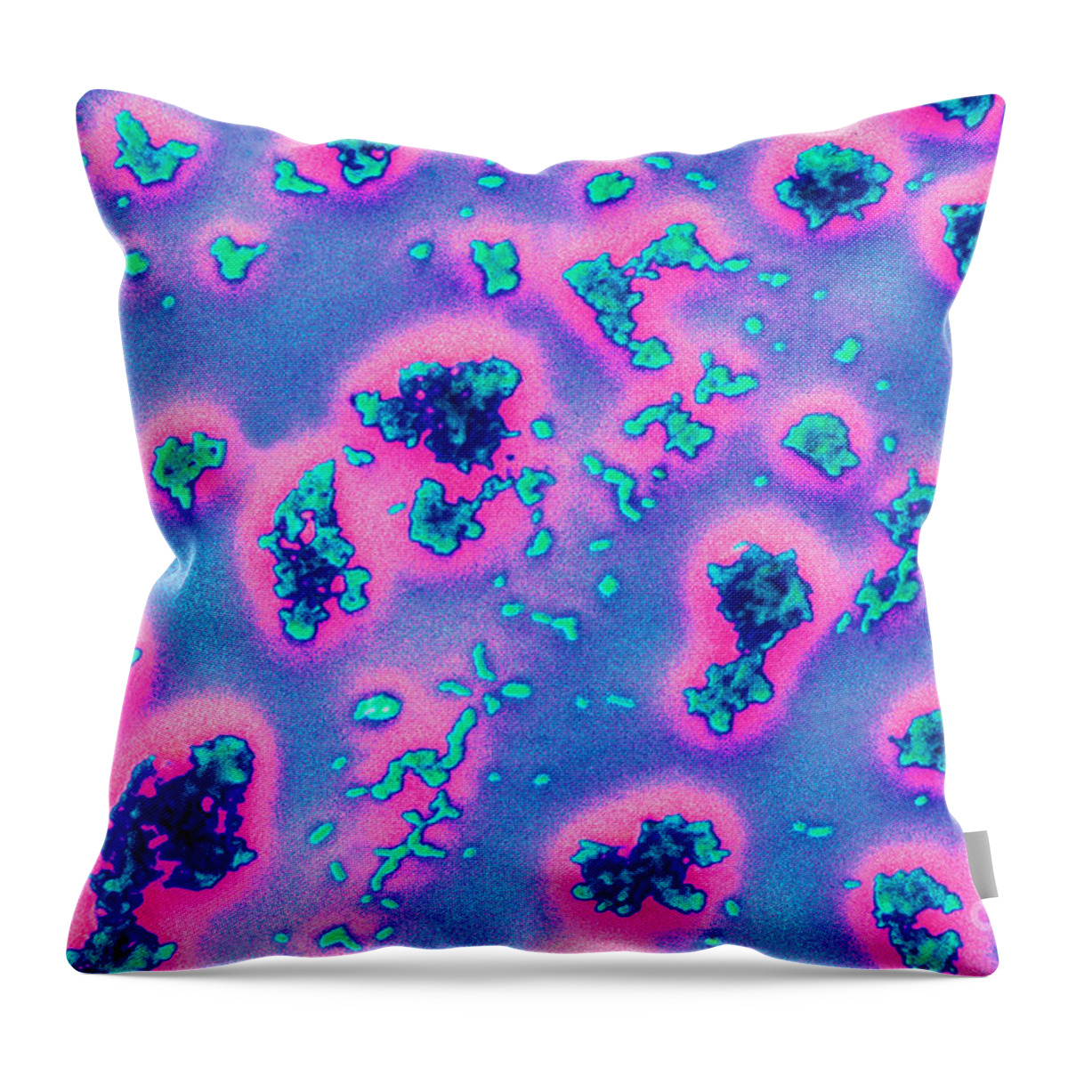Bacteria Throw Pillow featuring the photograph Haemophilus Influenzae by Kent Wood