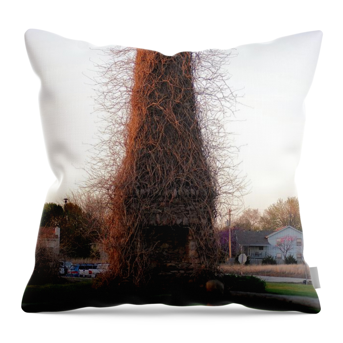 Texture Throw Pillow featuring the photograph Hairy Chimney by Mark McReynolds