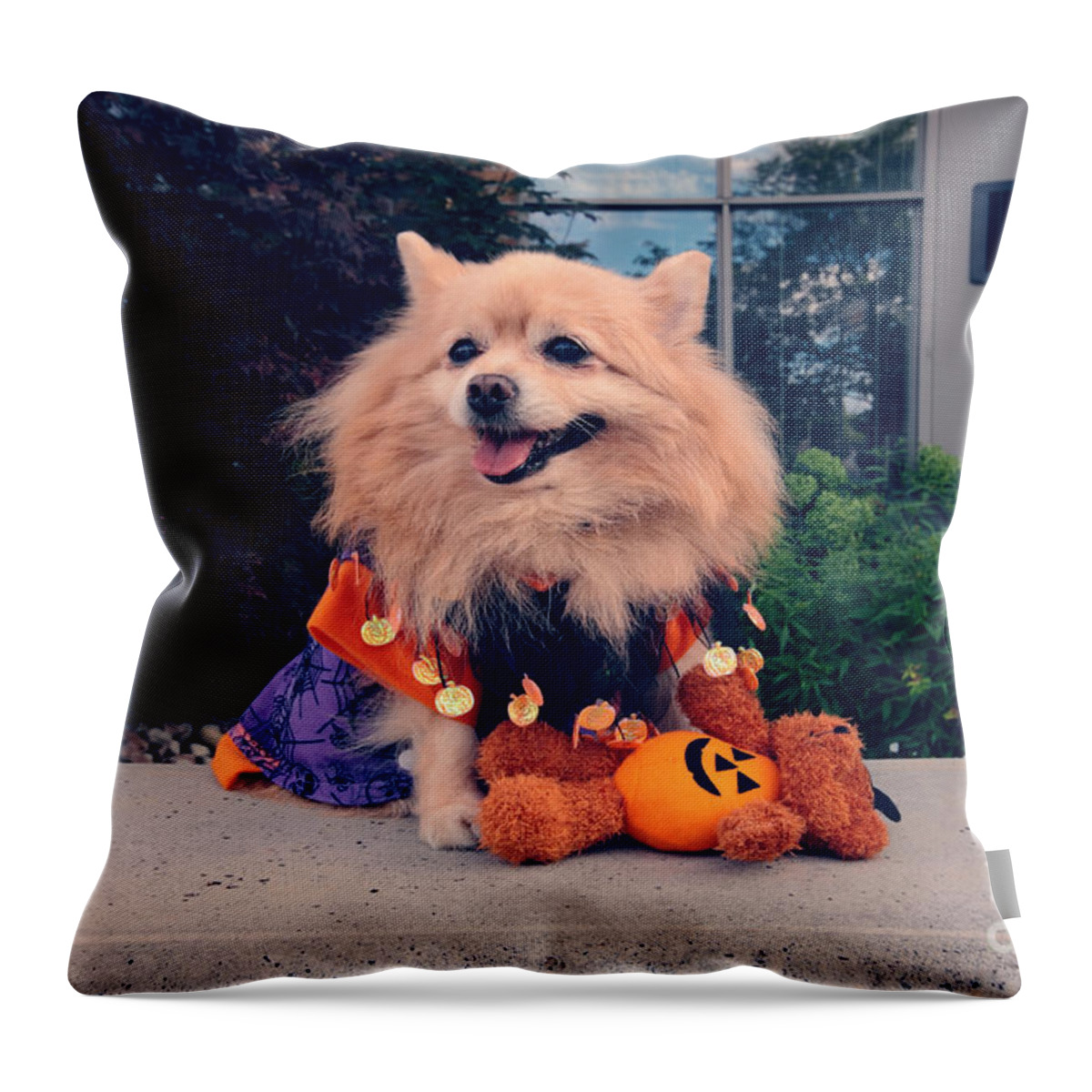 Dog Throw Pillow featuring the photograph Halloween Dog by Charline Xia