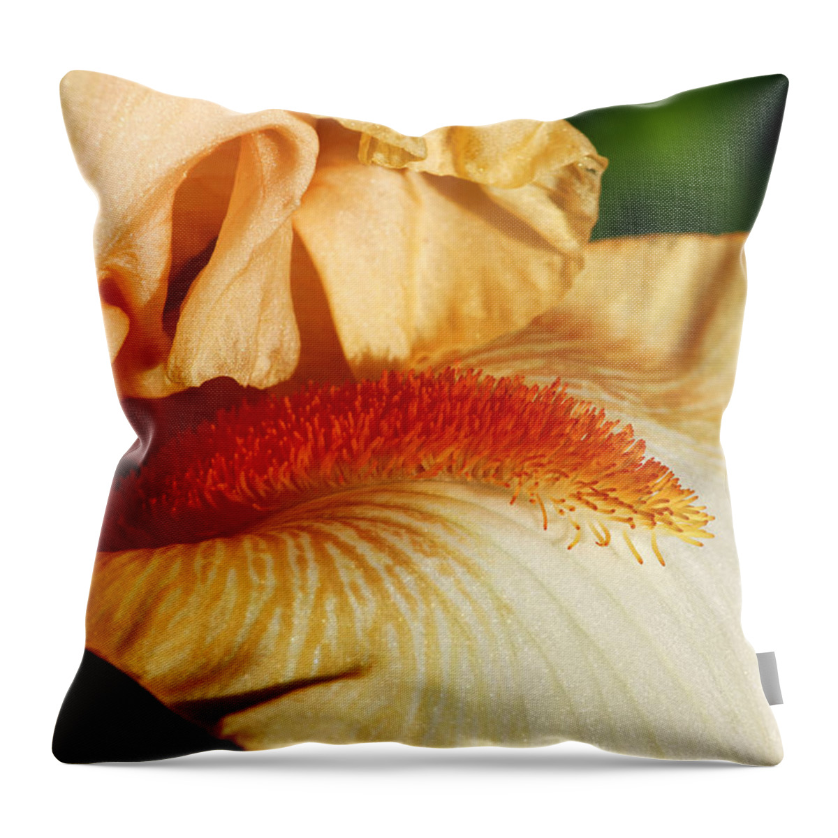Iris Throw Pillow featuring the photograph Halo in Peach #2 by Nikolyn McDonald