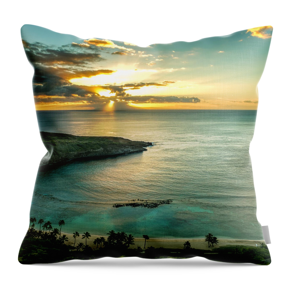 Aqua Throw Pillow featuring the photograph Hanauma Bay 1 by Leigh Anne Meeks