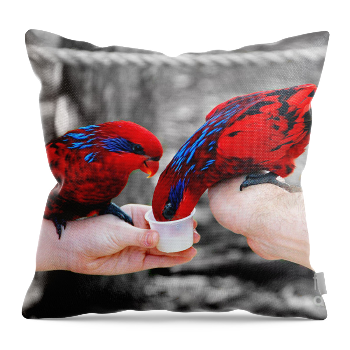 Red Throw Pillow featuring the photograph Handle With Care by Aimee L Maher ALM GALLERY