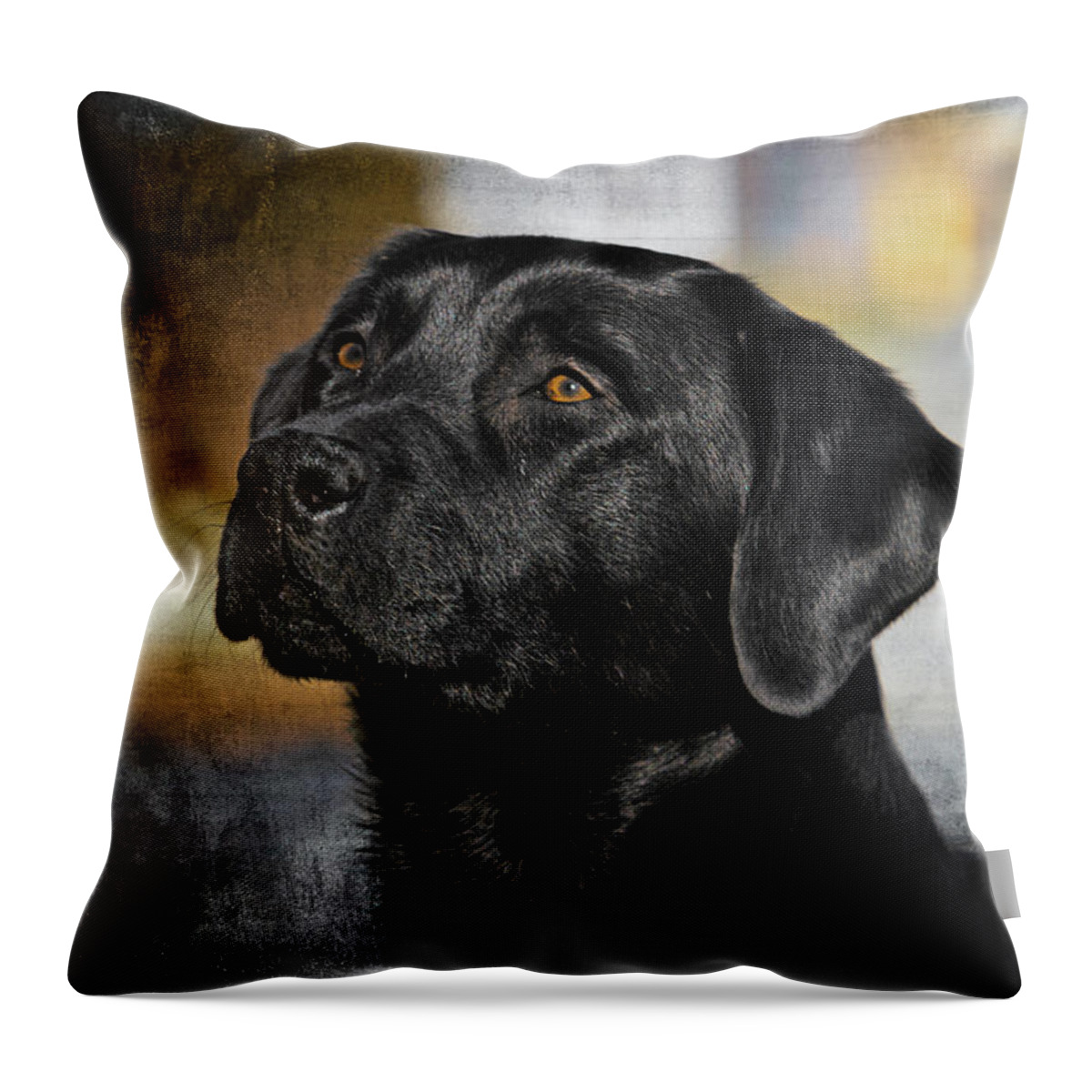 Dog Throw Pillow featuring the photograph Handsome Black Lab by Eleanor Abramson