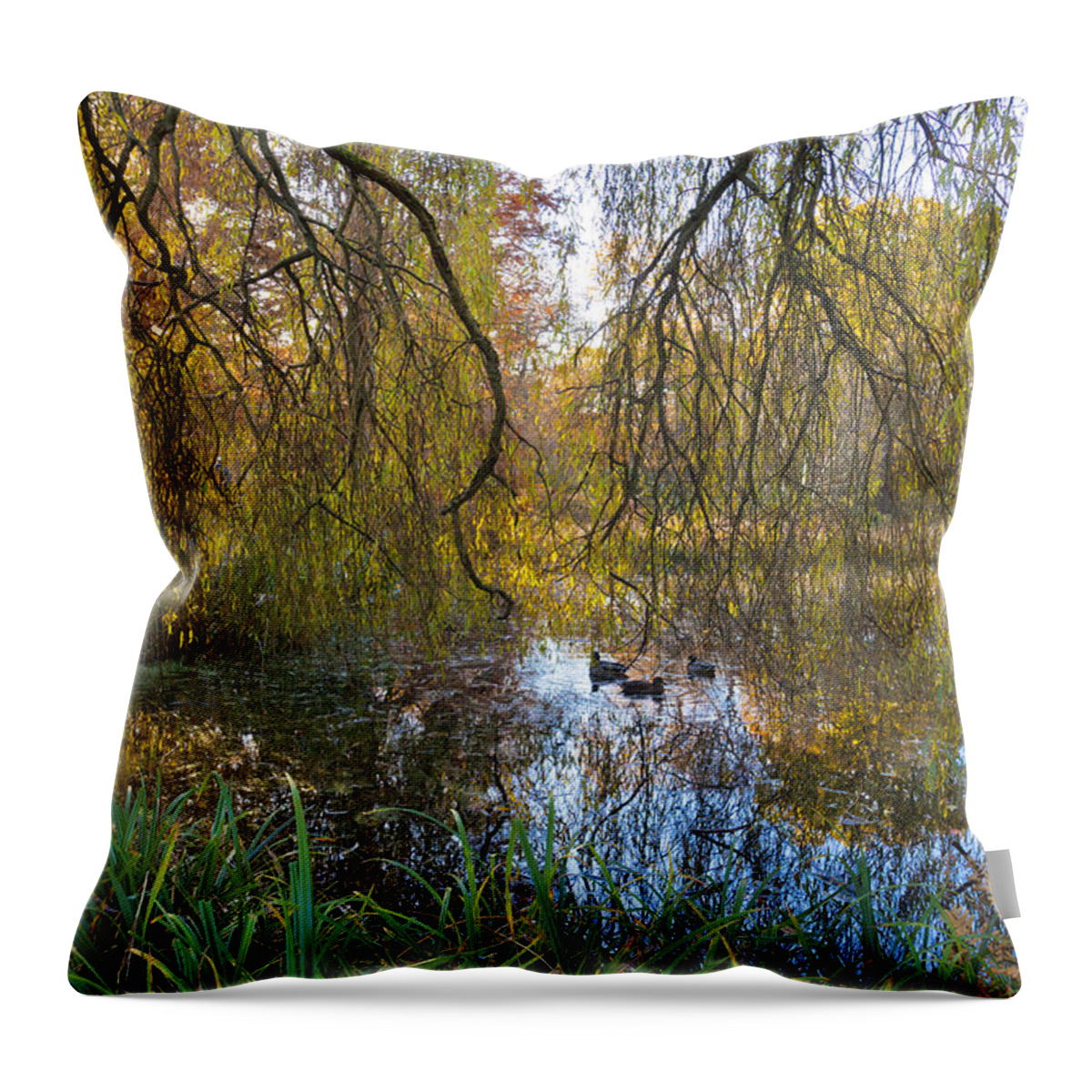 Autumn Throw Pillow featuring the photograph Hanging Autumn Trees by Maj Seda