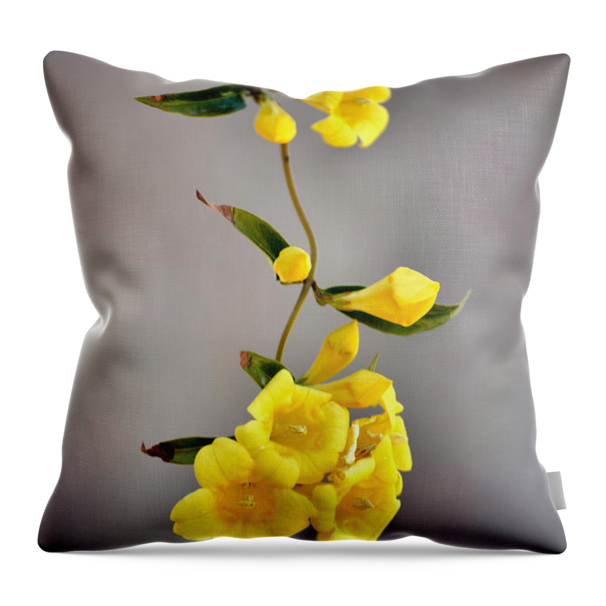 Yellow Flowers Throw Pillow featuring the photograph Hanging Blossoms by Deb Halloran