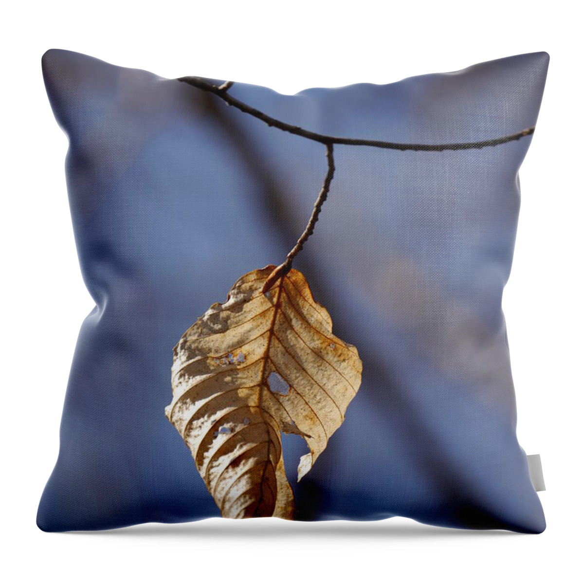 Leaves Throw Pillow featuring the photograph Hanging on by Jane Ford