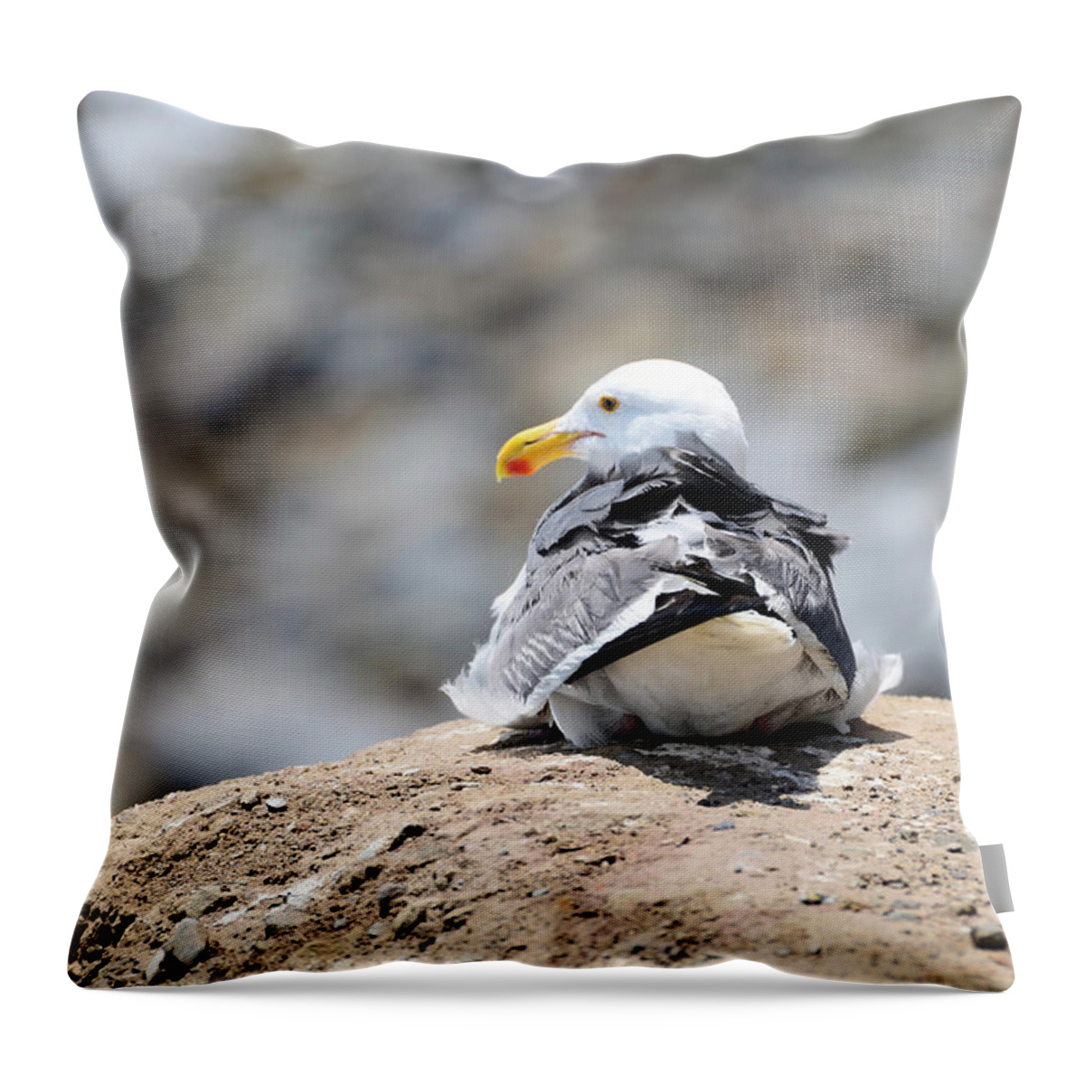 Bird Throw Pillow featuring the photograph Hanging Out by La Dolce Vita