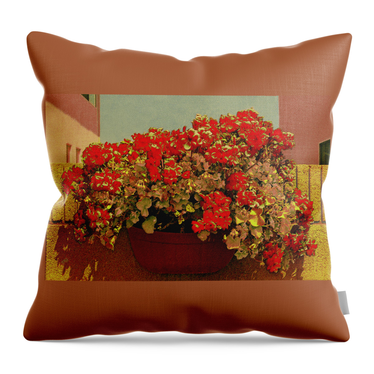 Floral Still Life Throw Pillow featuring the photograph Hanging Pot With Geranium by Ben and Raisa Gertsberg