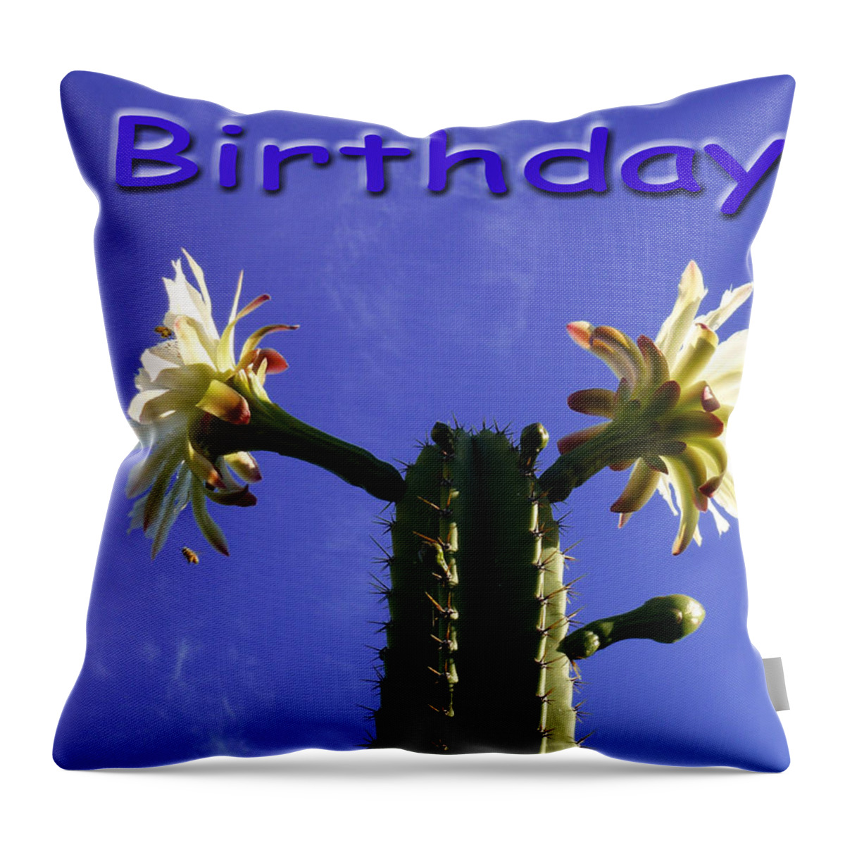 Birthday Throw Pillow featuring the photograph Happy Birthday Card And Print 1 by Mariusz Kula