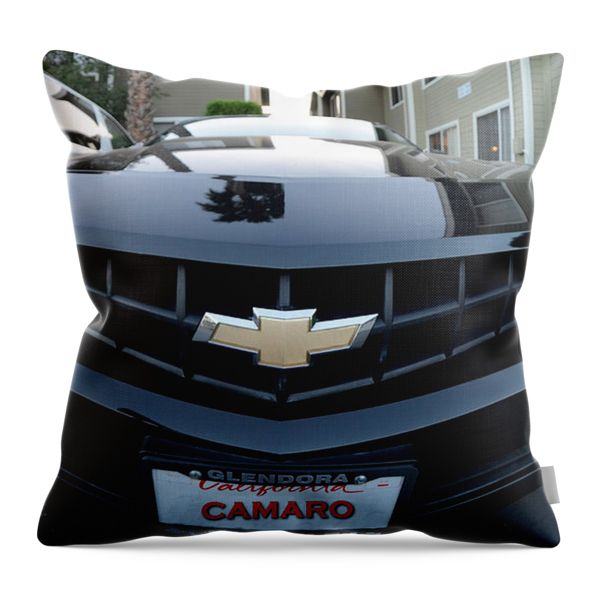 Black Throw Pillow featuring the photograph Happy Camero by Clayton Bruster