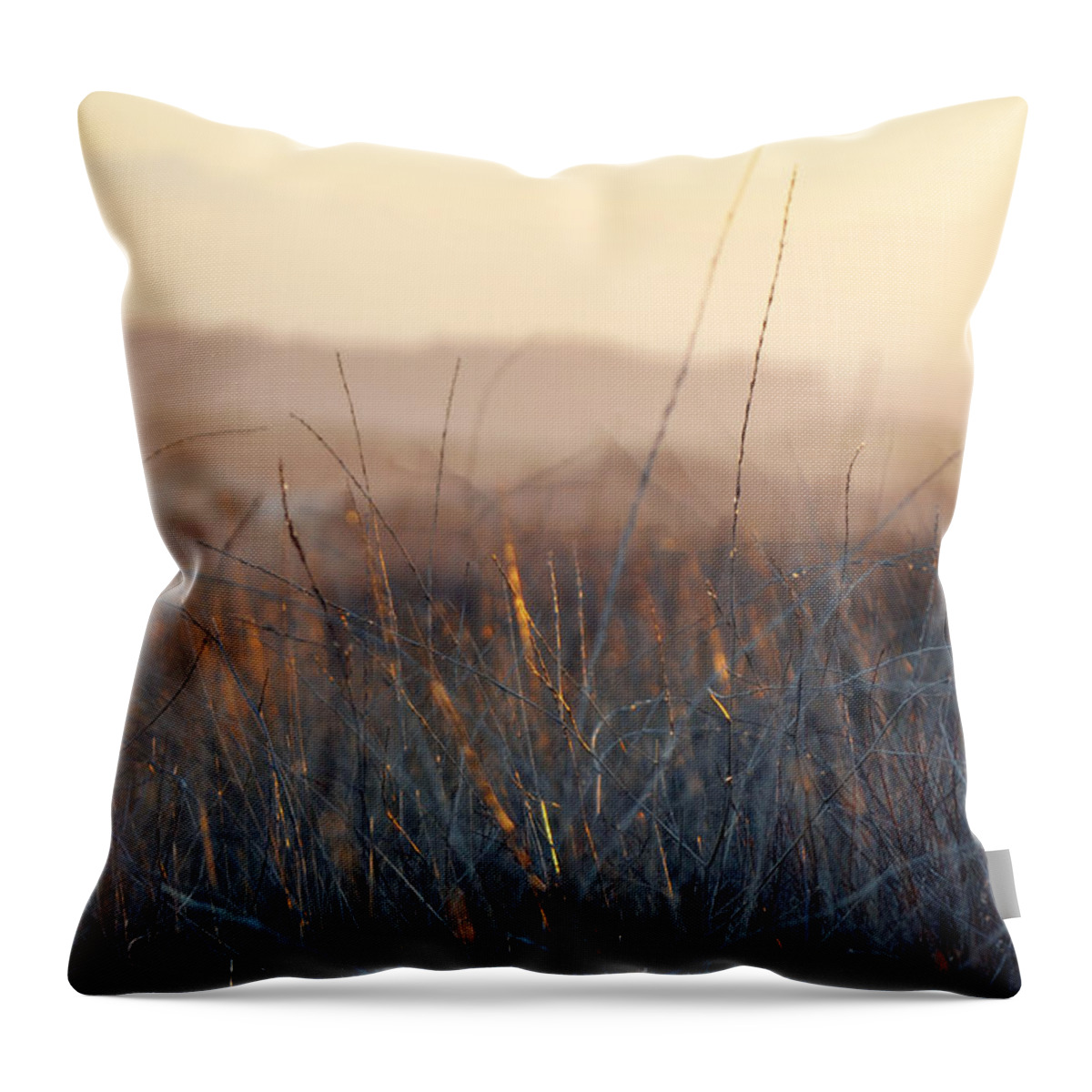 Happy Camp Canyon Throw Pillow featuring the photograph Happy Camp Canyon Magic Hour by Kyle Hanson