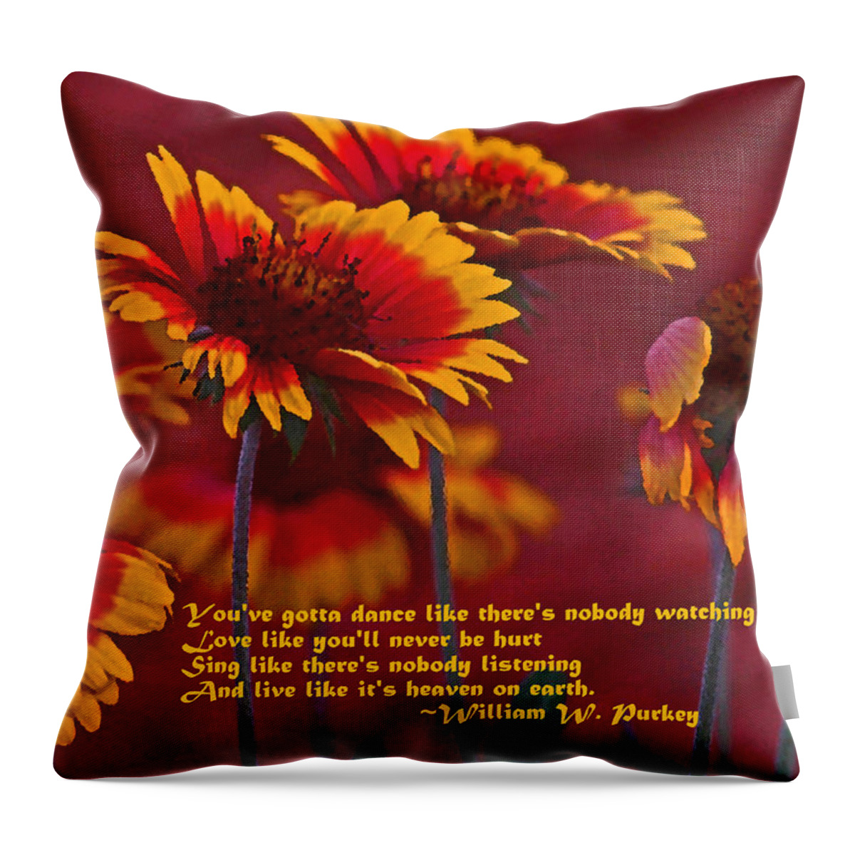 Gaillardia Throw Pillow featuring the photograph Happy Dancer by HH Photography of Florida
