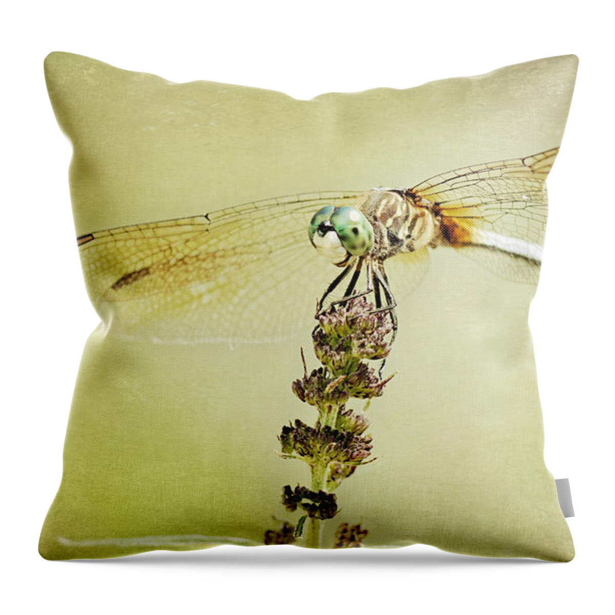 Insect Throw Pillow featuring the photograph Happy Dragon by Pam Holdsworth