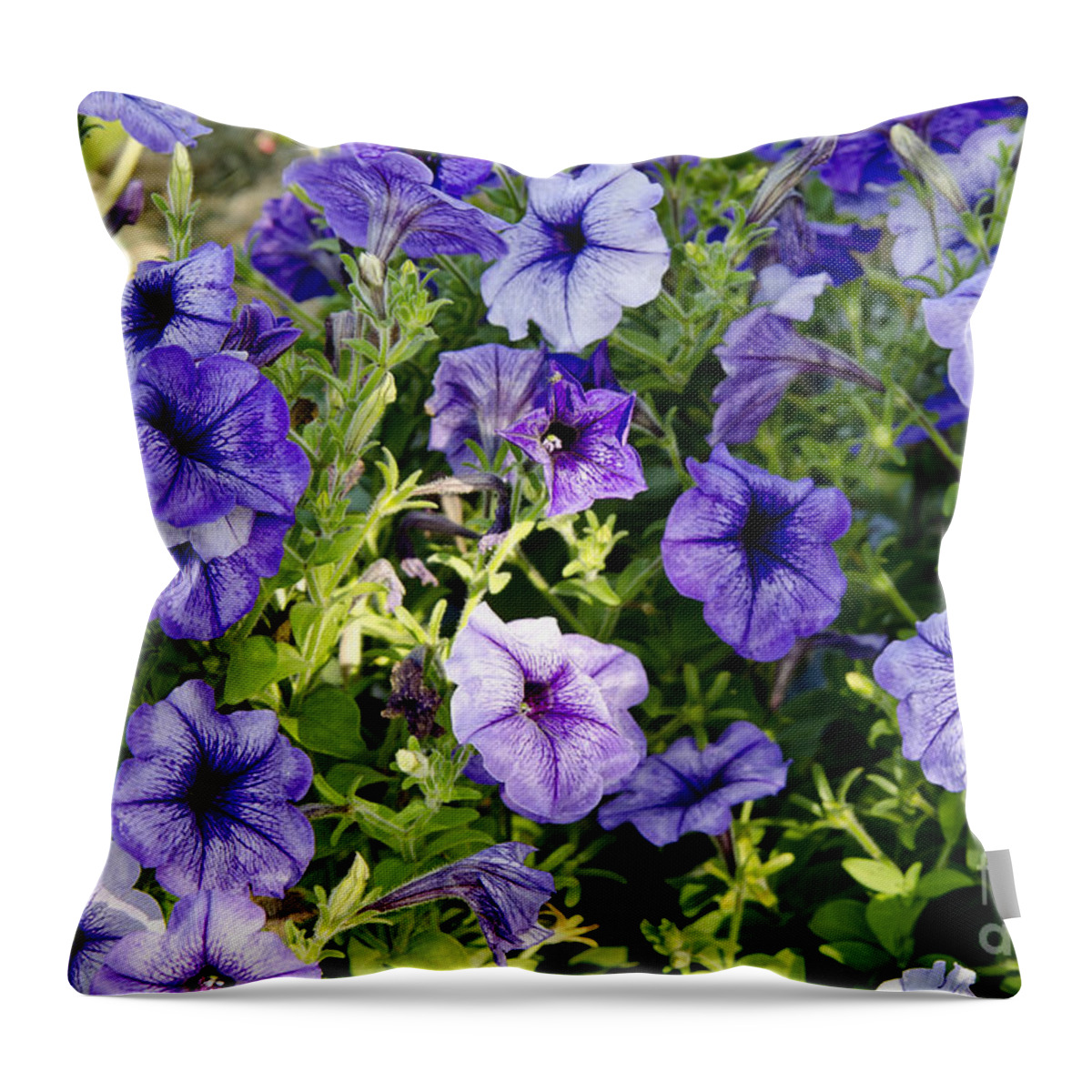 Petunias Throw Pillow featuring the photograph Happy Flowers by Wilma Birdwell