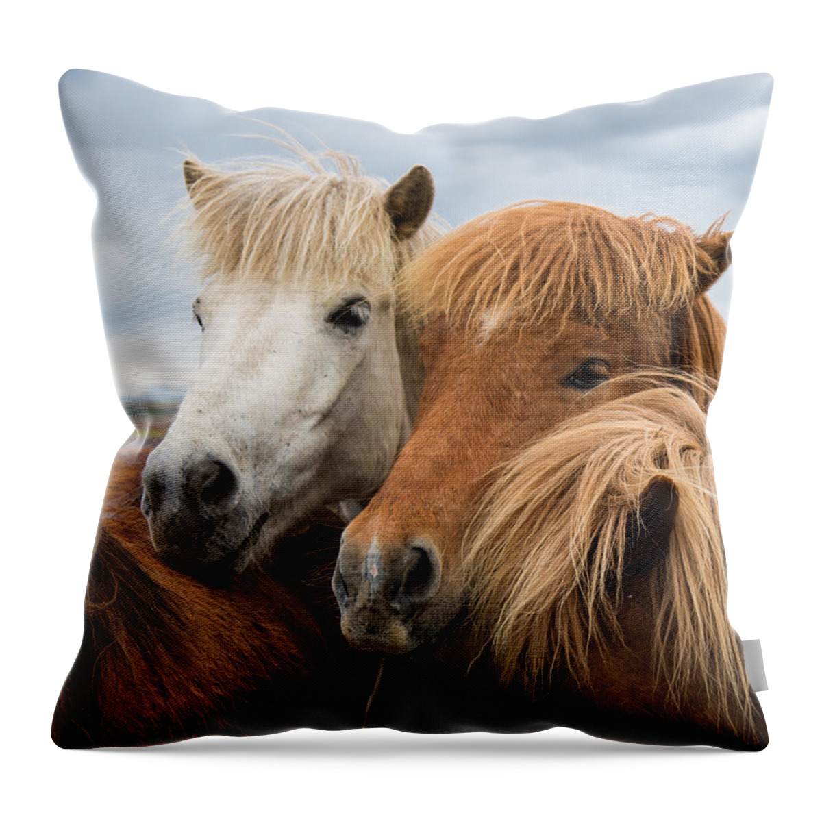 Horses Throw Pillow featuring the photograph Happy horse friends in Iceland by Matthias Hauser