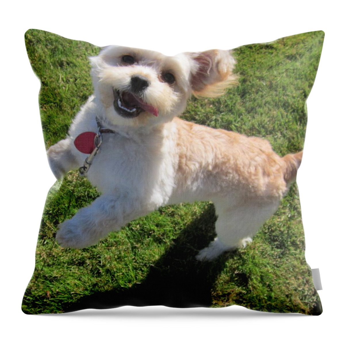 Happy Throw Pillow featuring the photograph Happy by Kazumi Whitemoon