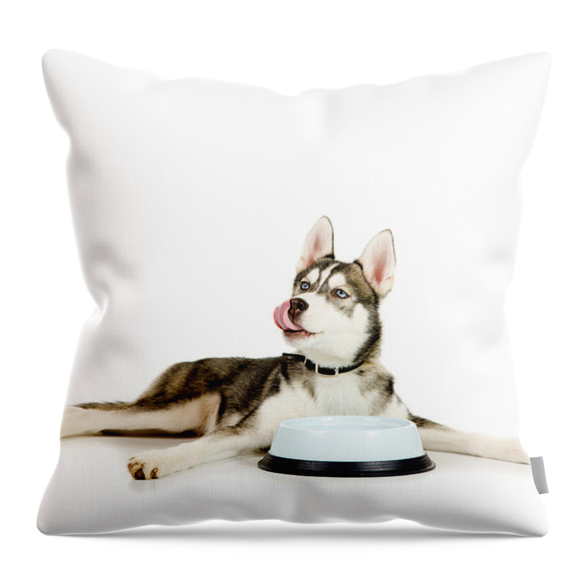 Animal Throw Pillow featuring the photograph Happy puppy by Alexey Stiop