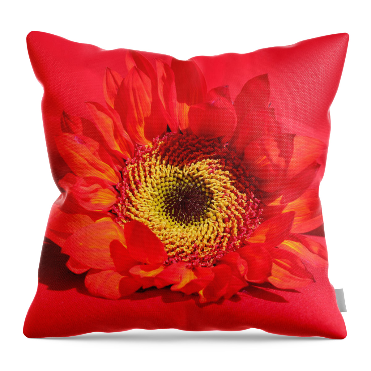 Happy Sunflower Throw Pillow featuring the photograph Happy Sunflower by Kume Bryant
