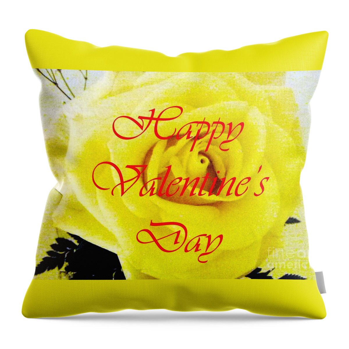 Happy Valentine's Day Throw Pillow featuring the photograph Happy Valentine's Day by Barbie Corbett-Newmin