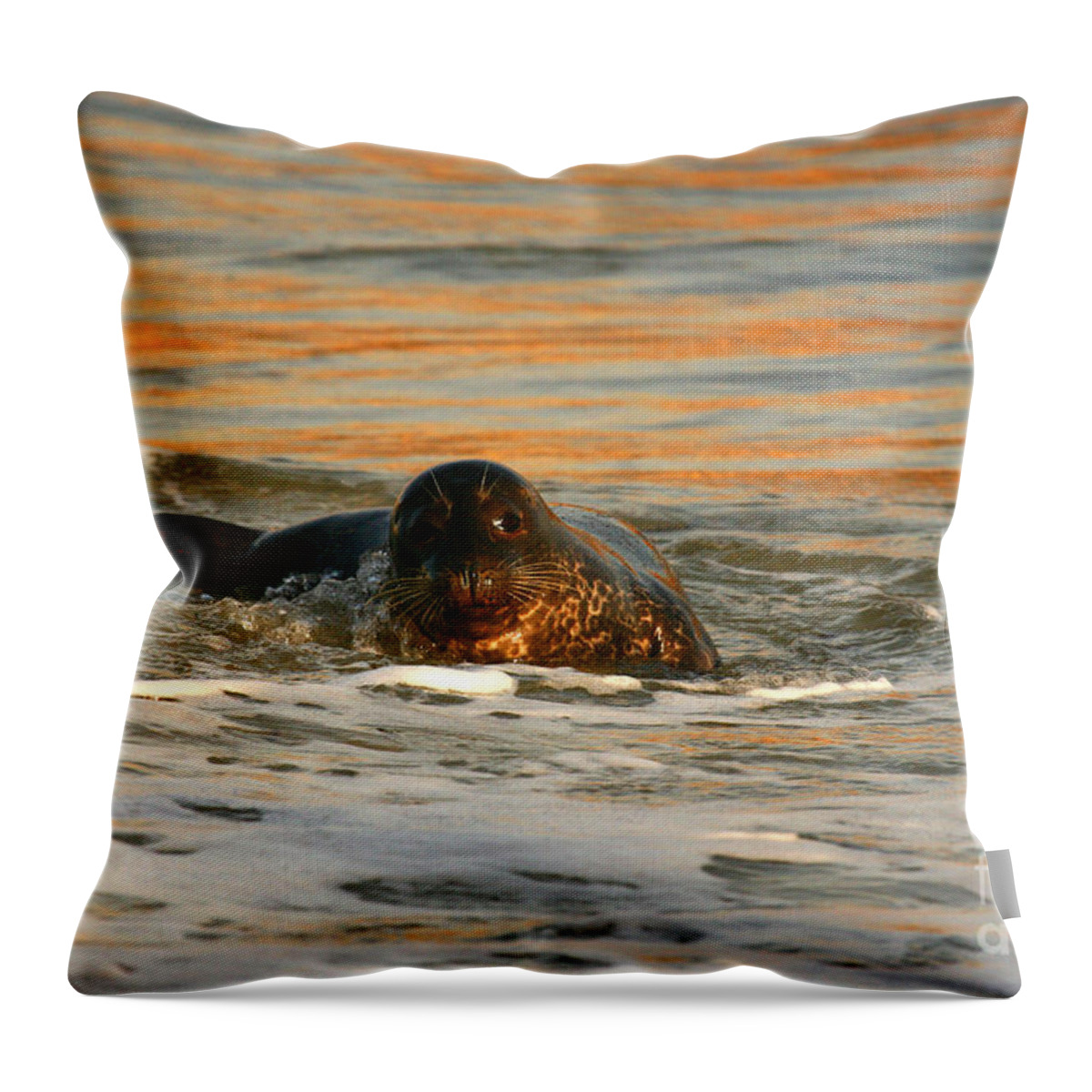 Mammals Throw Pillow featuring the photograph La Jolla Seal Sunset by John F Tsumas