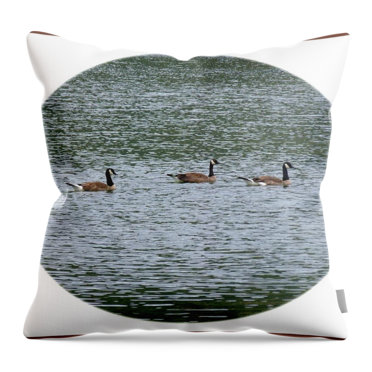 Harmonious Canada Geese Throw Pillow featuring the photograph Harmonious Canada Geese by Will Borden