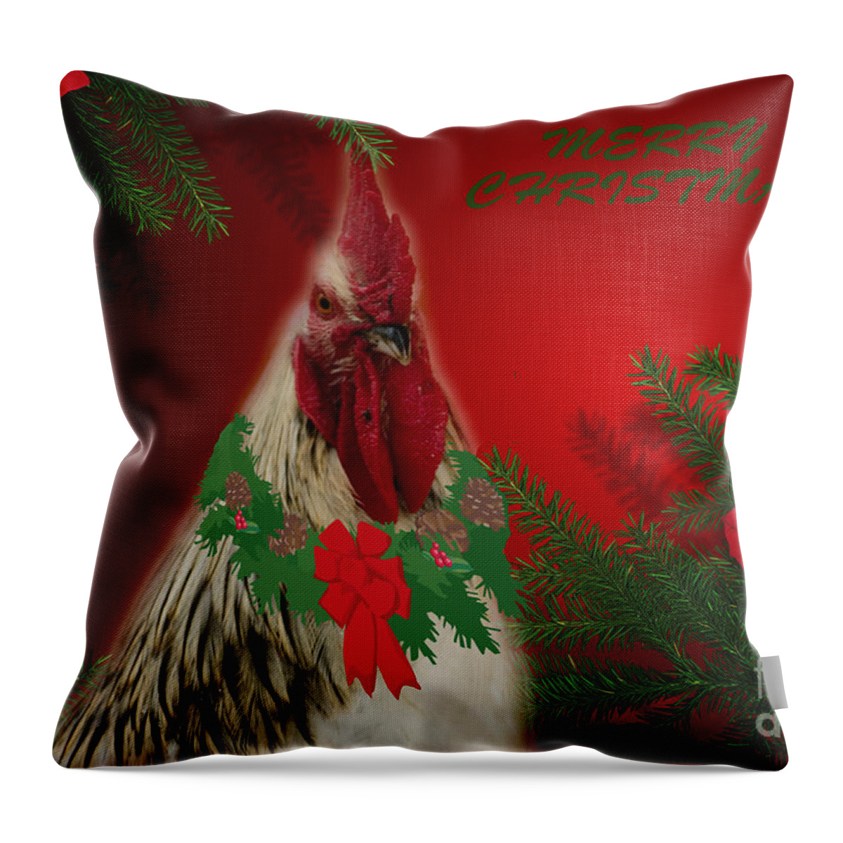 Bird Throw Pillow featuring the photograph Harry Christmas Wishes by Donna Brown