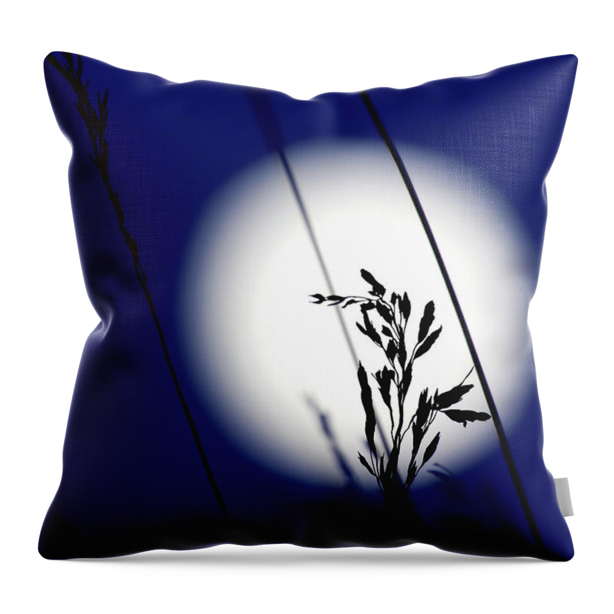 Moonscape Photograph Throw Pillow featuring the photograph Harvest Moon by Jim Garrison