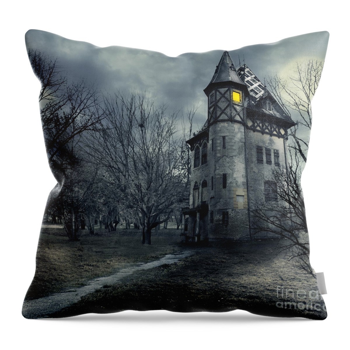 House Throw Pillow featuring the photograph Haunted house by Jelena Jovanovic