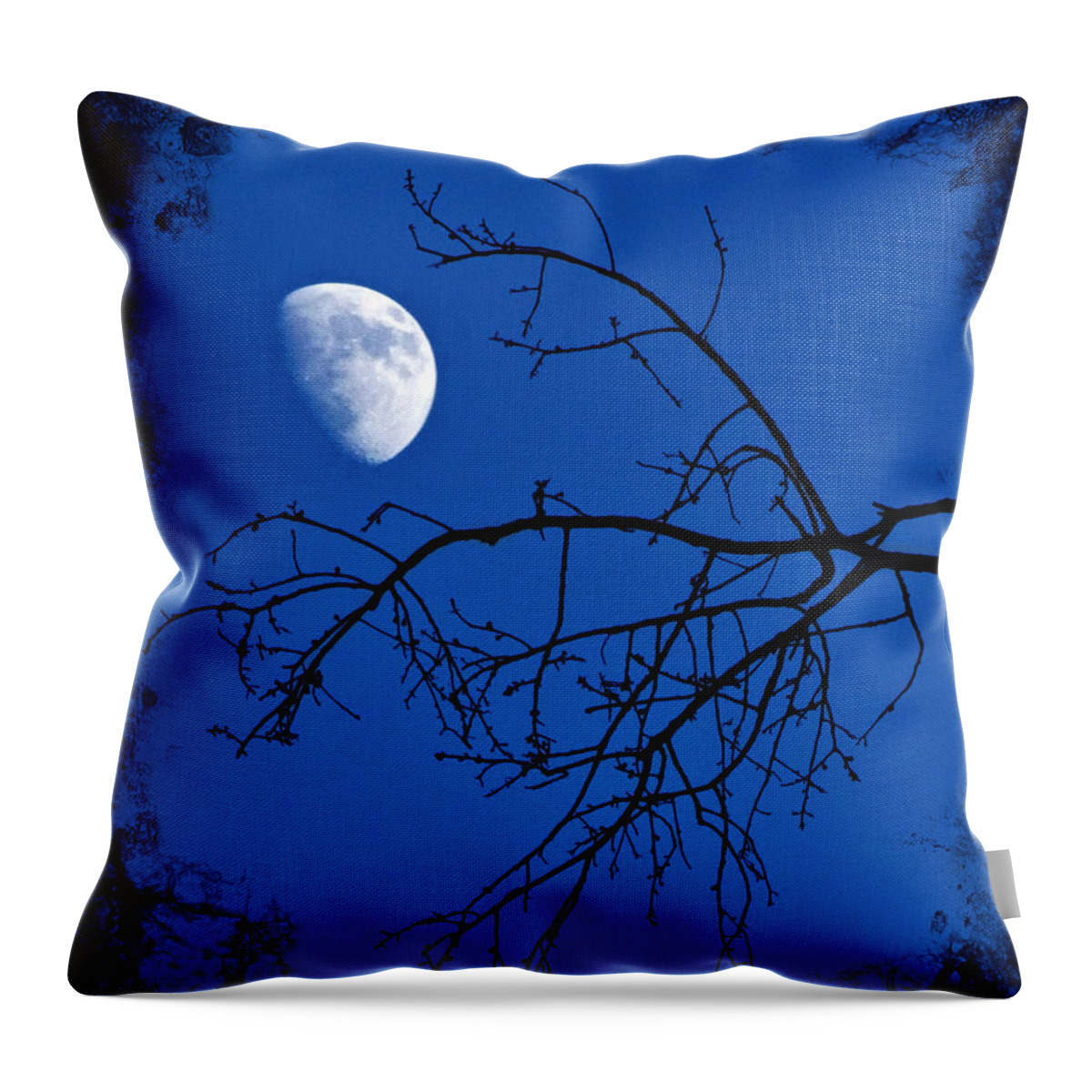 Haunted Throw Pillow featuring the photograph Haunted by Jemmy Archer