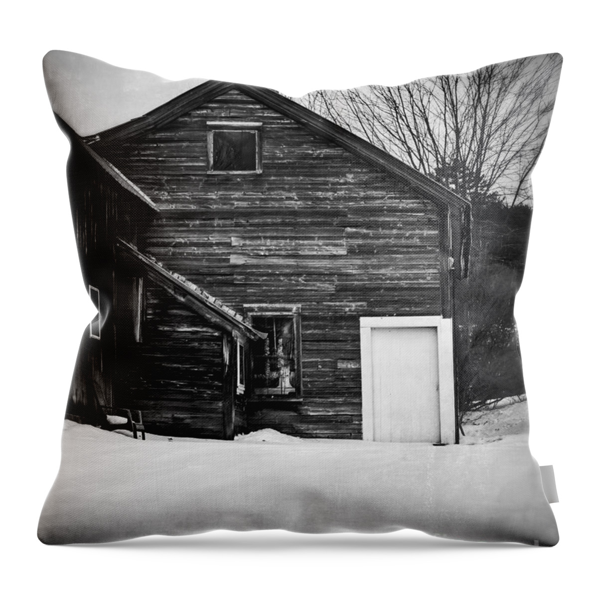 Snow Throw Pillow featuring the photograph Haunted Old House by Edward Fielding