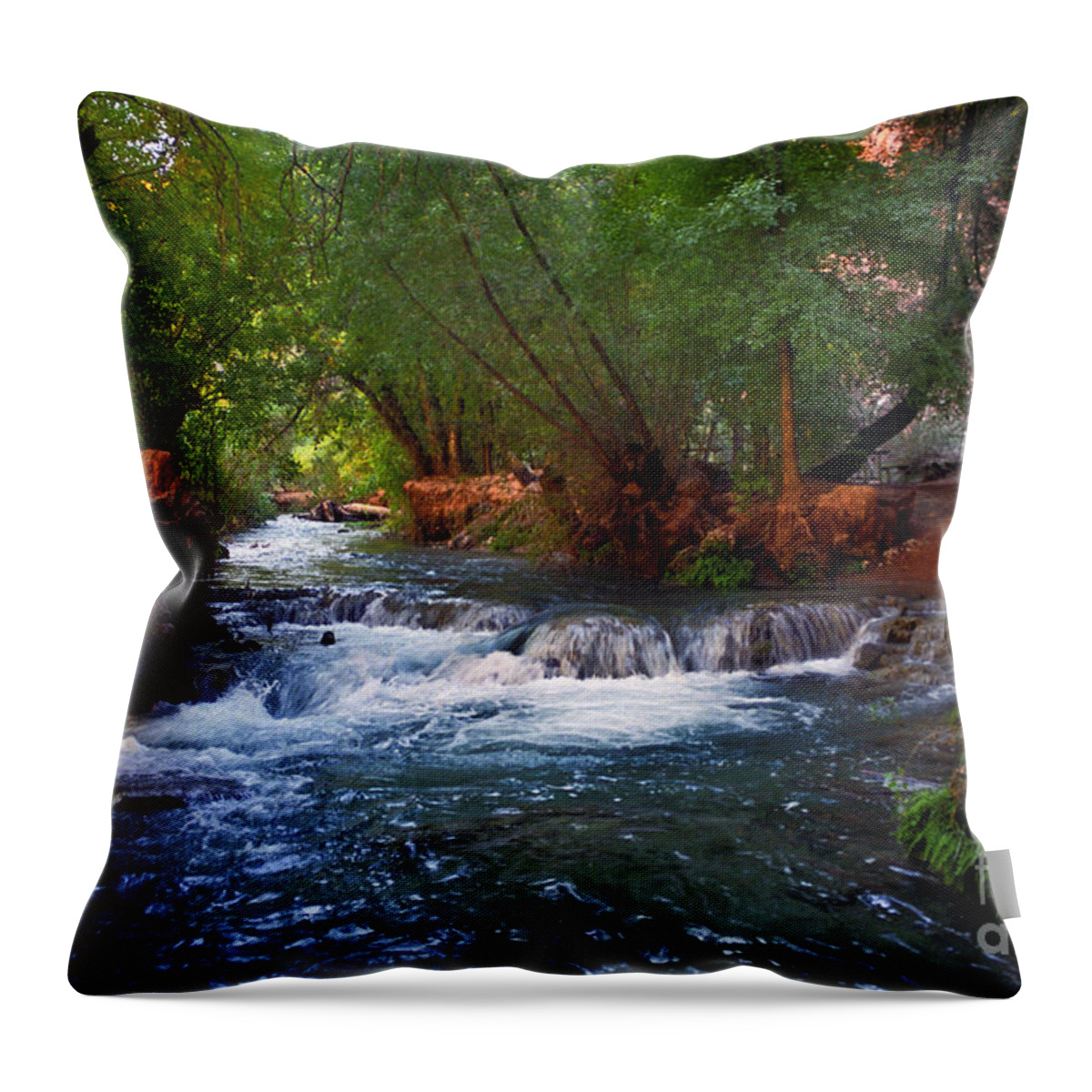 Arizona Throw Pillow featuring the photograph Havasu Creek by Kathy McClure