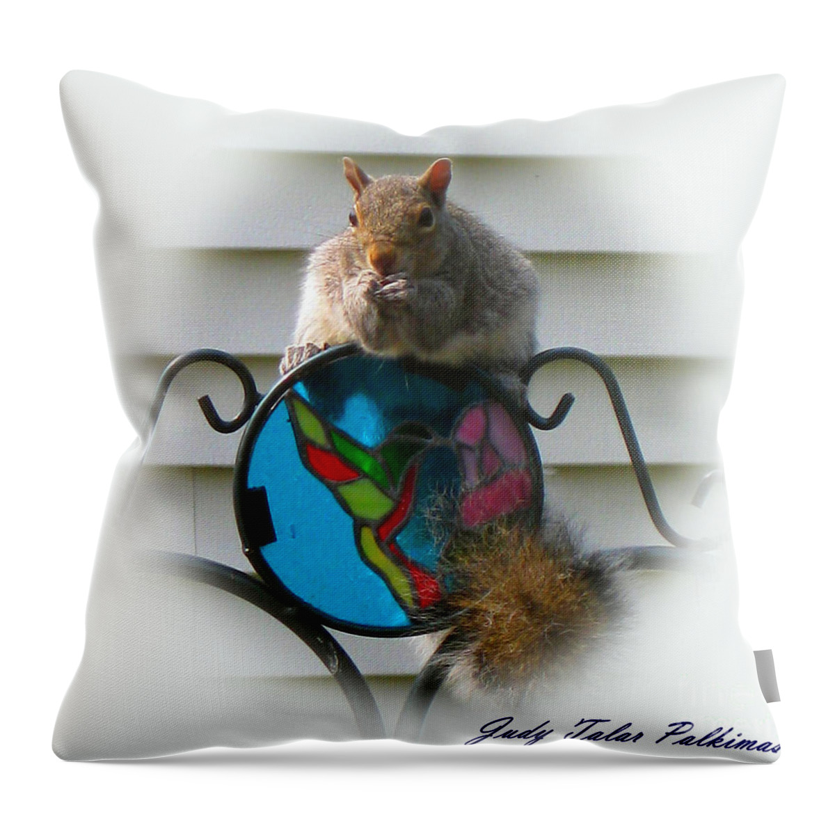 Squirrel Throw Pillow featuring the photograph Having A Snack by Judy Palkimas