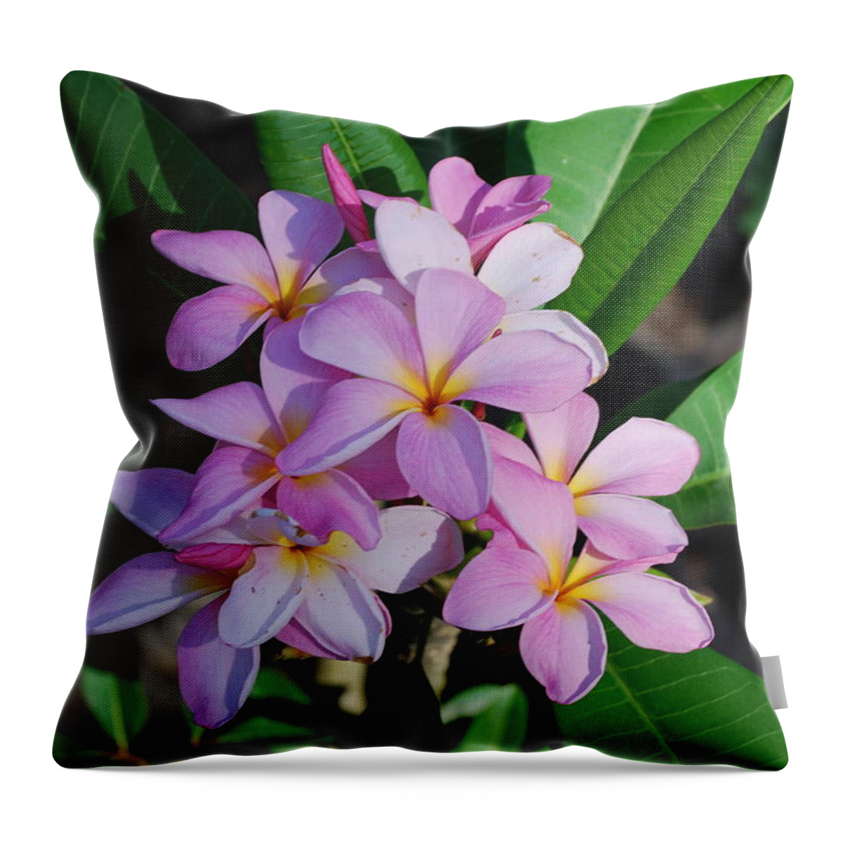 Used By Hawaiian People To Make Necklace Throw Pillow featuring the photograph Hawaiian lei flower by Robert Floyd