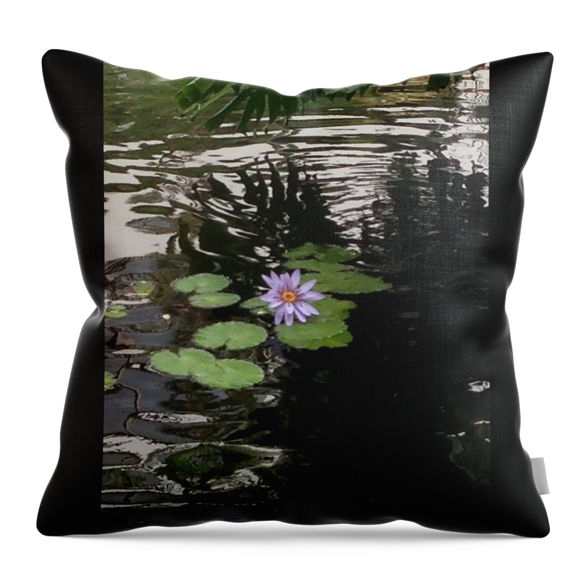 Flower Throw Pillow featuring the photograph Hawaiian Water Lily by Jamie Frier