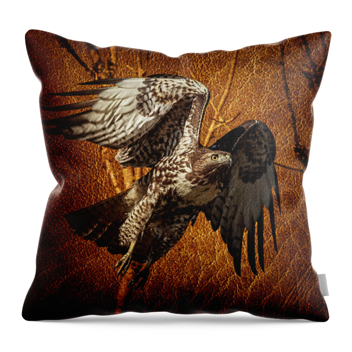Hawk On Leather Throw Pillow featuring the photograph Hawk On Leather by Wes and Dotty Weber