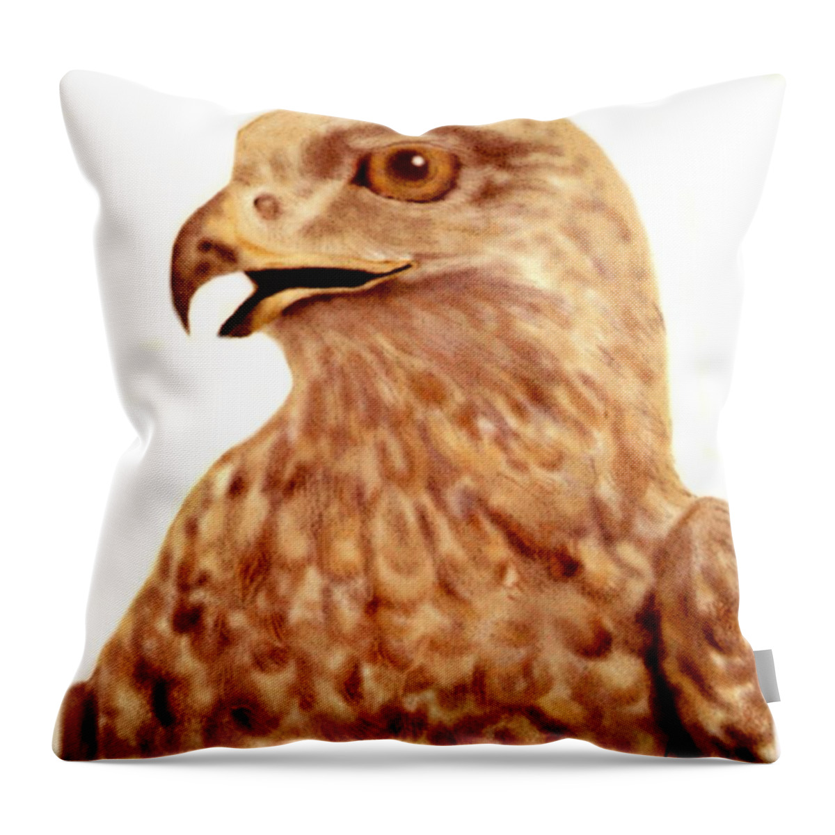 Bird Throw Pillow featuring the digital art Hawk by Terry Frederick