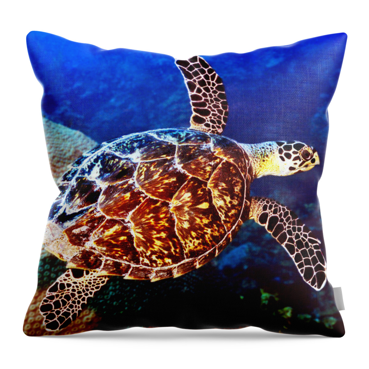  Swimming Sea Turtle Throw Pillow featuring the photograph Hawksbill by Jean Noren