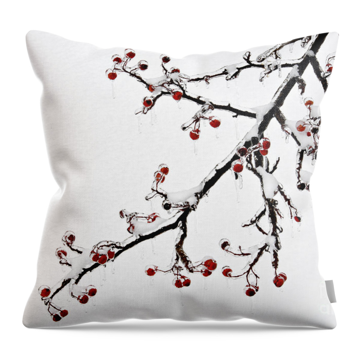 Ice Throw Pillow featuring the photograph Hawthorn Ice and Snow - D004830 by Daniel Dempster