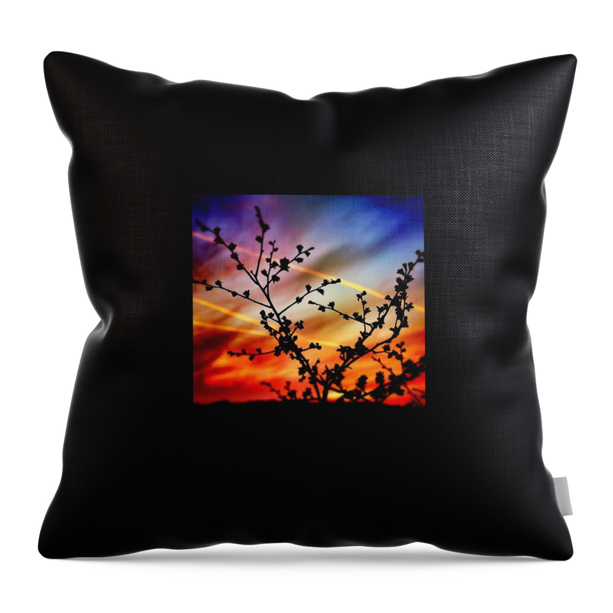 Night Throw Pillow featuring the photograph Hawthorn Sunset by Phil Tomlinson