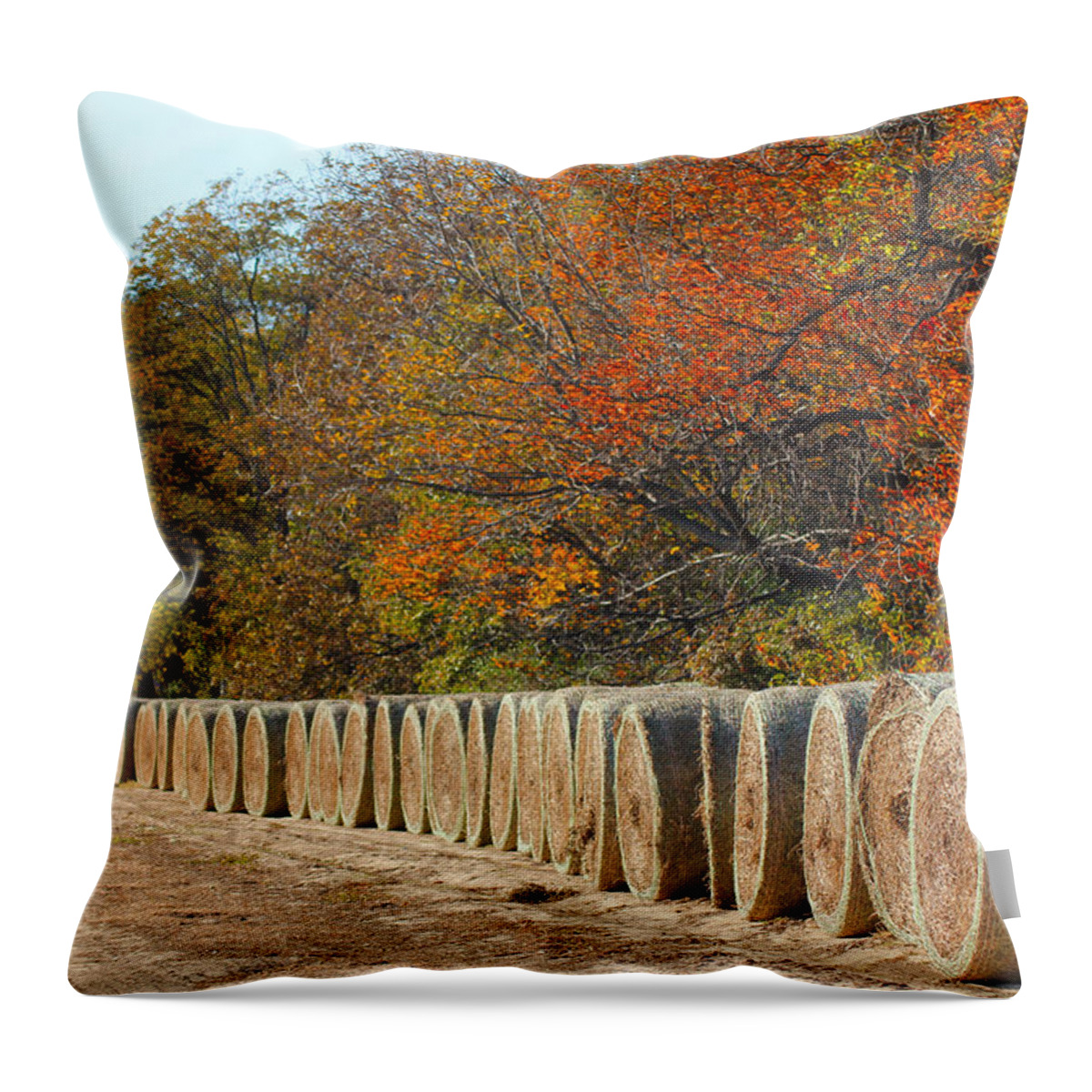 Hay Throw Pillow featuring the photograph Hay Days by Karen Wagner