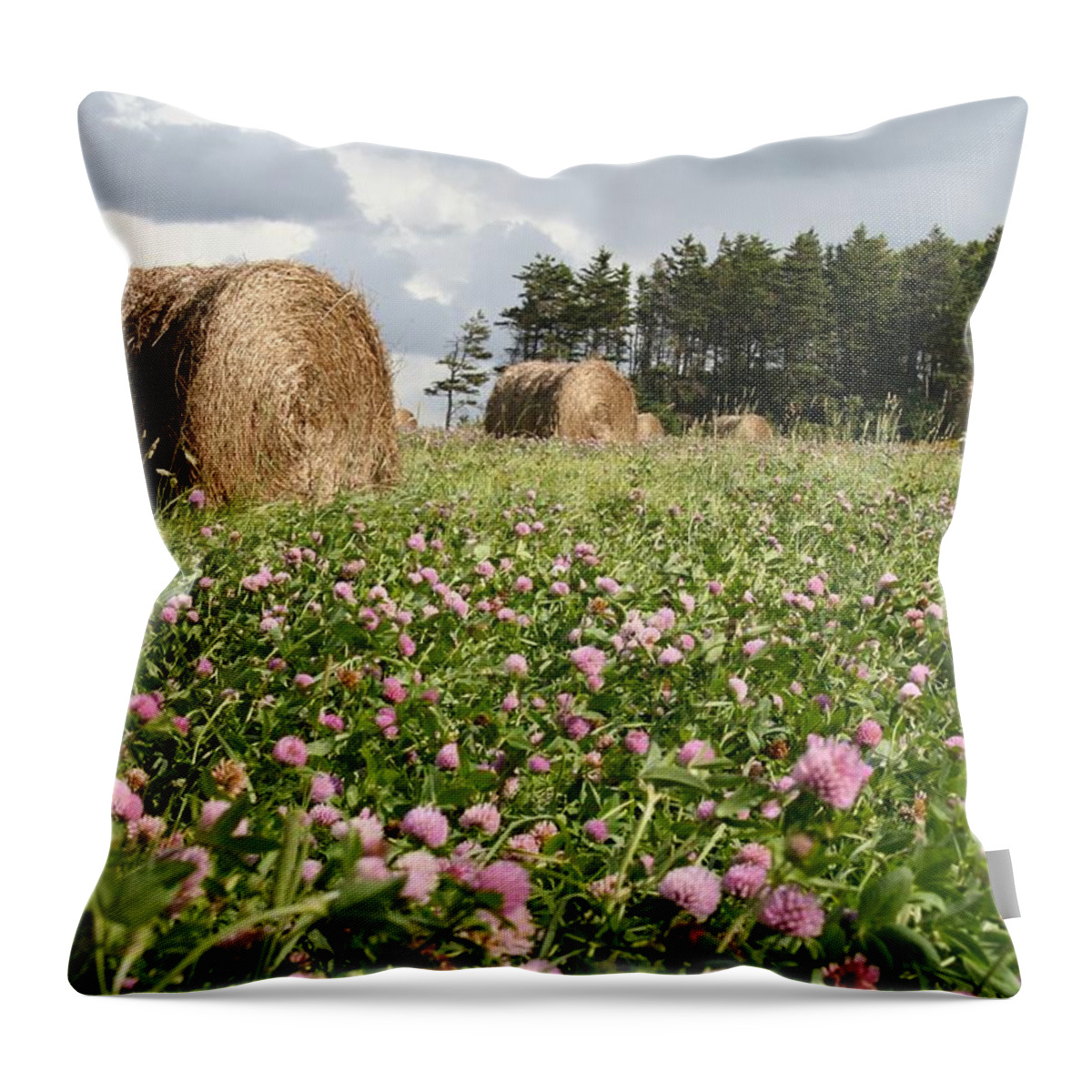 Clover Throw Pillow featuring the photograph Hay field by Allan Morrison