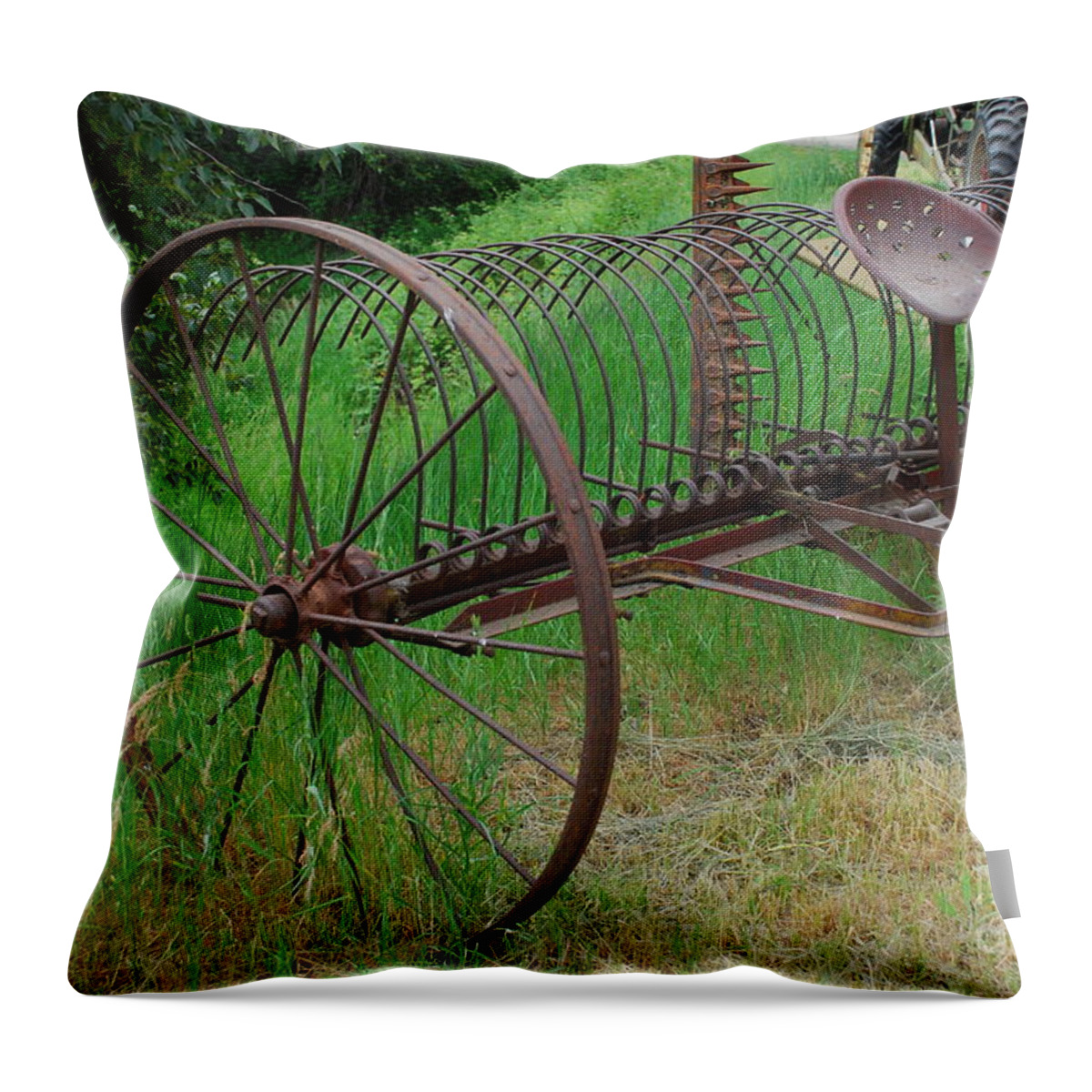Hay Throw Pillow featuring the photograph Hay Rake by Ron Roberts