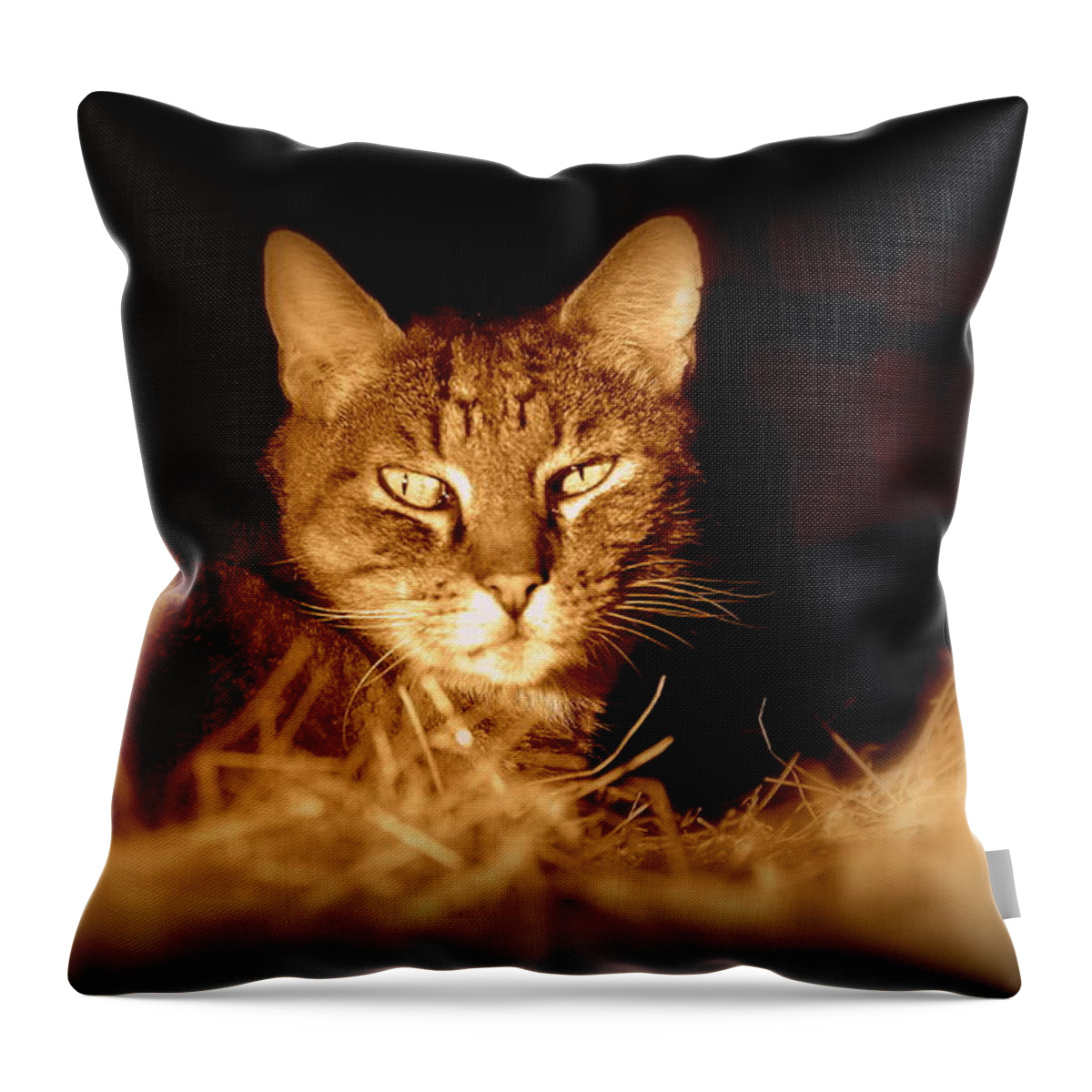 Animal Throw Pillow featuring the photograph Hay there by Andrea Platt